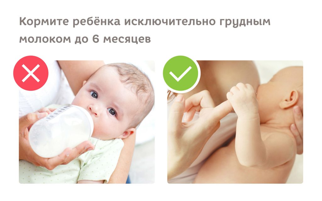 Правильное питание для детей: рекомендации родителям
