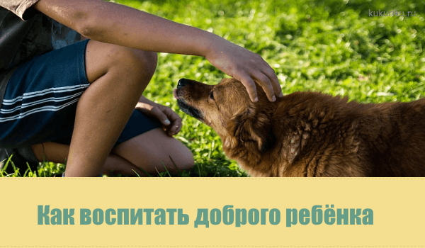 Когда и как воспитать в ребенке вежливость?